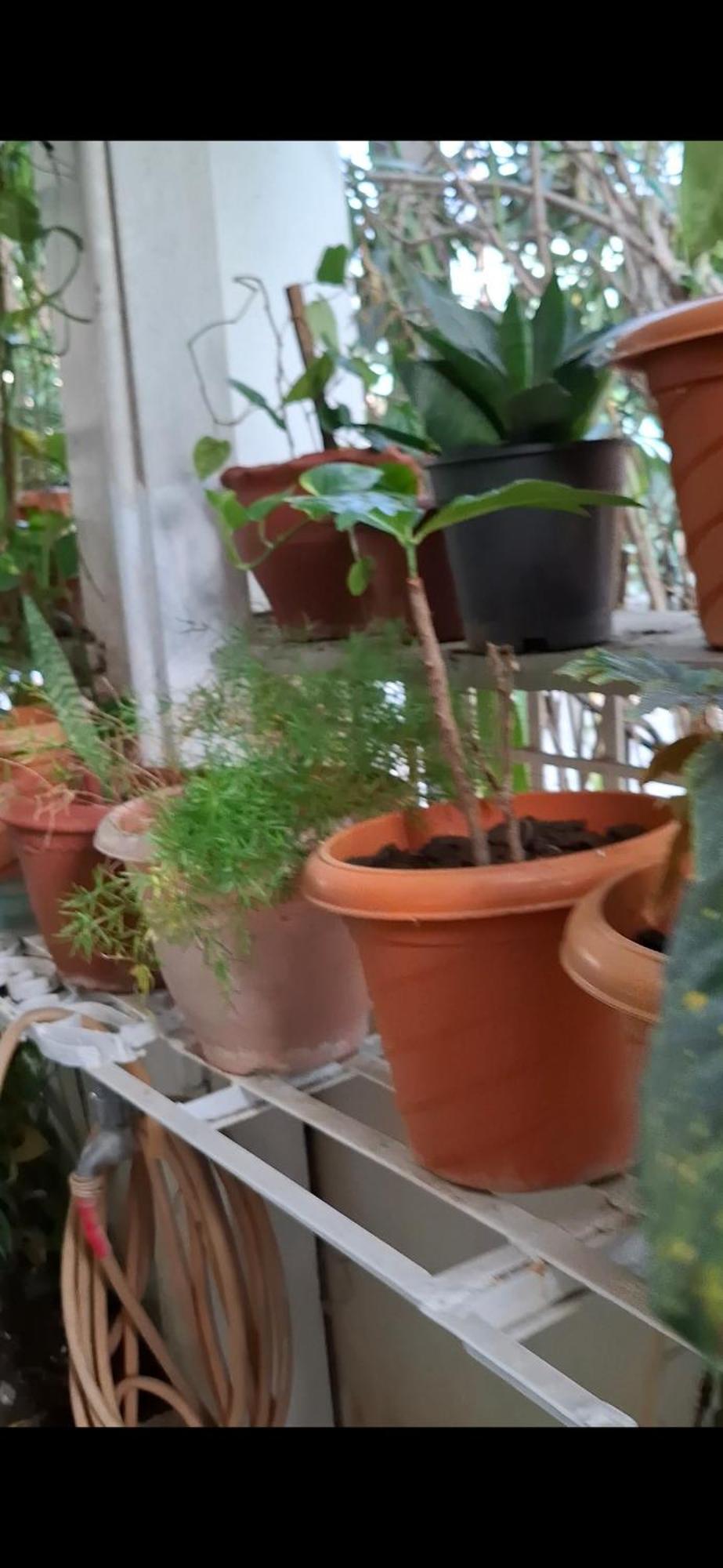 2Bhk Chandra Jyoti Villa Nit Garden Nagpur Extérieur photo