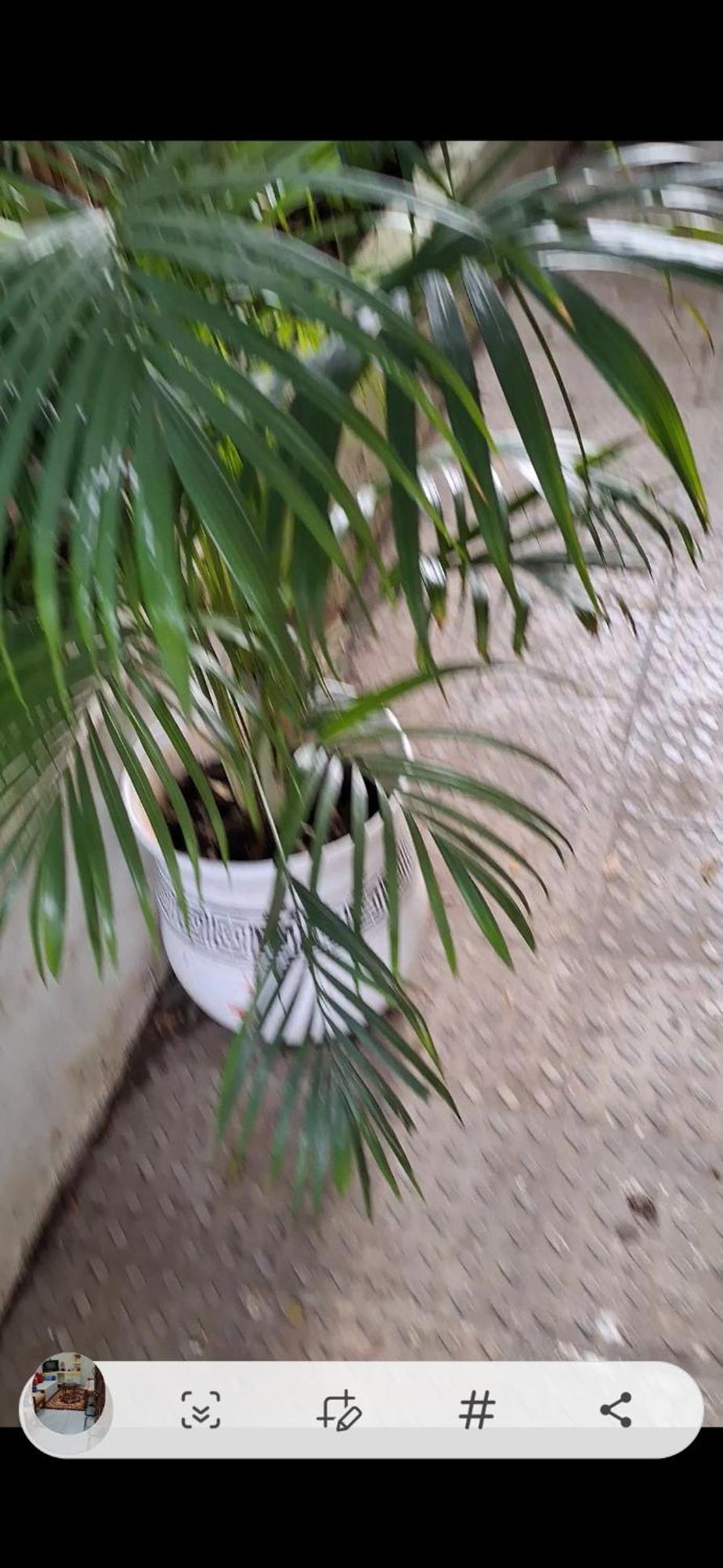 2Bhk Chandra Jyoti Villa Nit Garden Nagpur Extérieur photo
