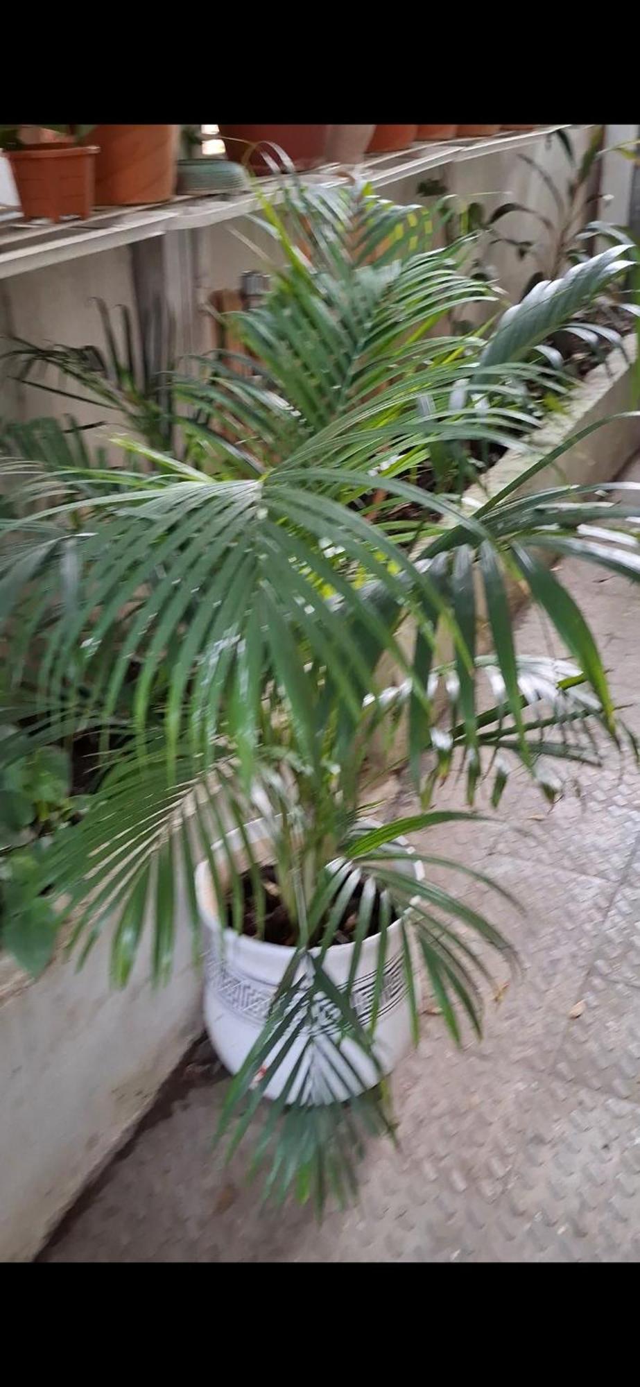 2Bhk Chandra Jyoti Villa Nit Garden Nagpur Extérieur photo