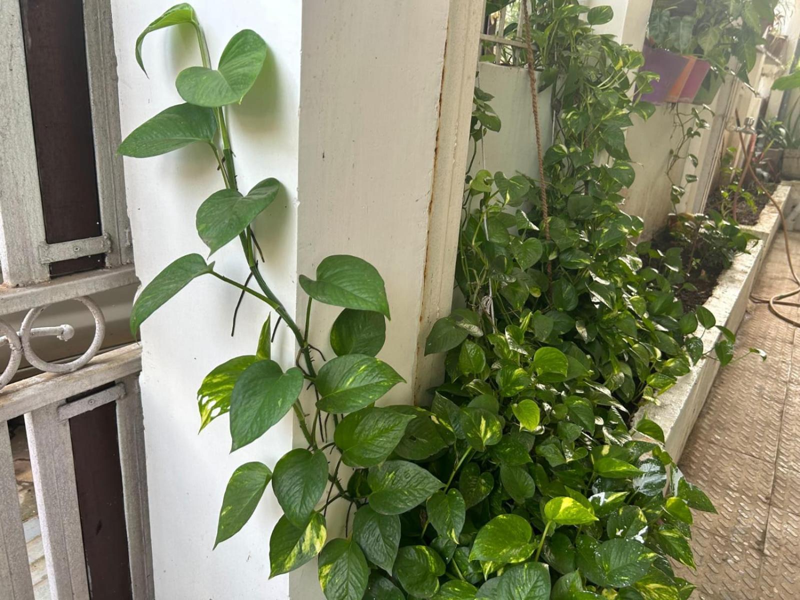 2Bhk Chandra Jyoti Villa Nit Garden Nagpur Extérieur photo