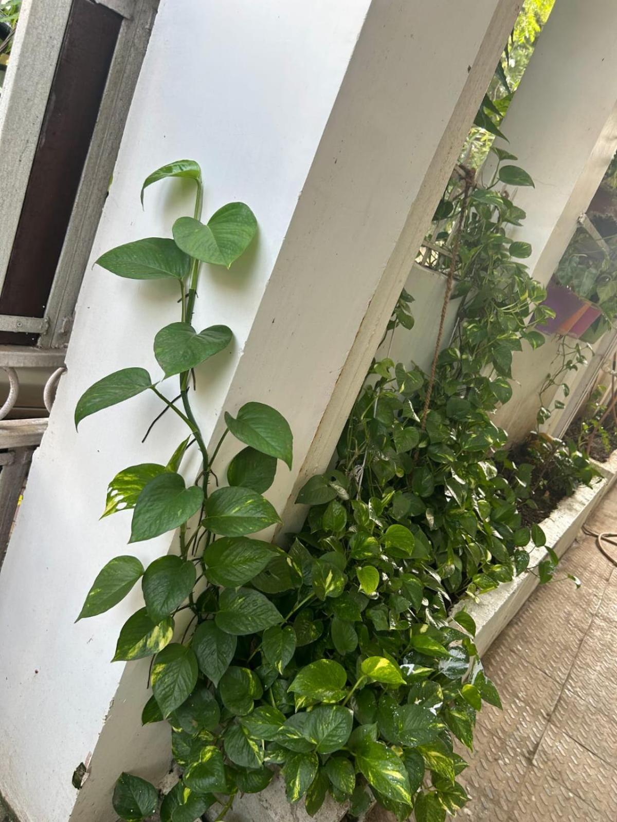 2Bhk Chandra Jyoti Villa Nit Garden Nagpur Extérieur photo